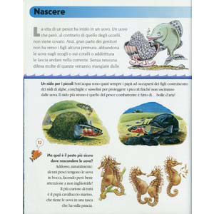 	De Agostini - I pesci - 3	
