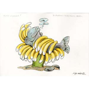 	De Agostini - I pesci - 5	