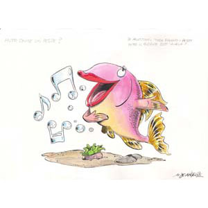 	De Agostini - I pesci - 12	