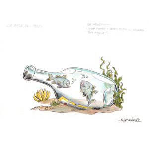 	De Agostini - I pesci - 16	