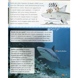 	De Agostini - Gli squali - 1	