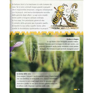 	De Agostini - Le api - pagina 25	