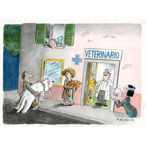 	Telemontecarlo - Programma 
