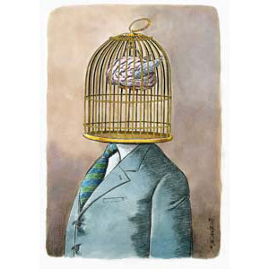	Brain cage	