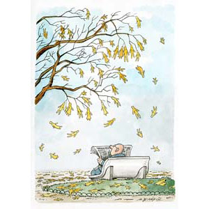 	Like leaves	